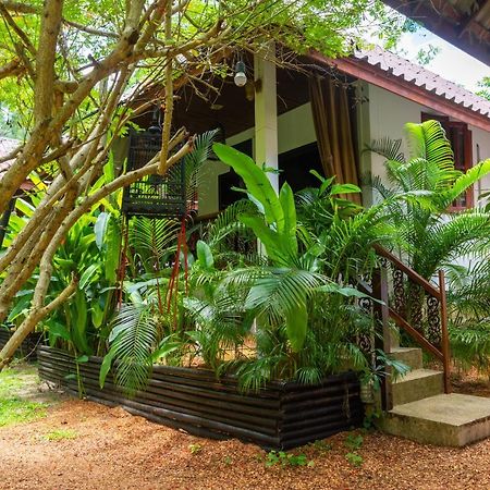 Alcove Bungalow Hinkong Exterior foto